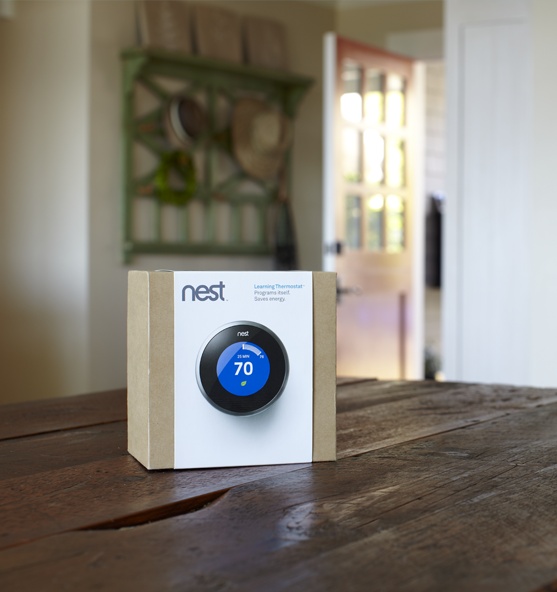 Nest in box on table