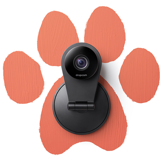 Of course you love your pets. They’re so cute. To your face. But turn your back and you never know what they’re up to. Unless you have a Dropcam.