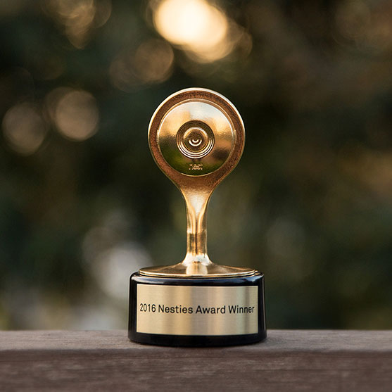 You probably thought the big award season was over. But we’ve got one more for you: the 2016 Nestie Awards.