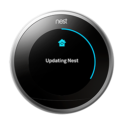nest update nest update